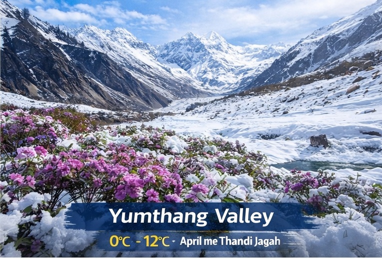 Yumthang Valley April me thandi jagah India flowers and snow